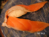 s_PICT0034_thumb.png